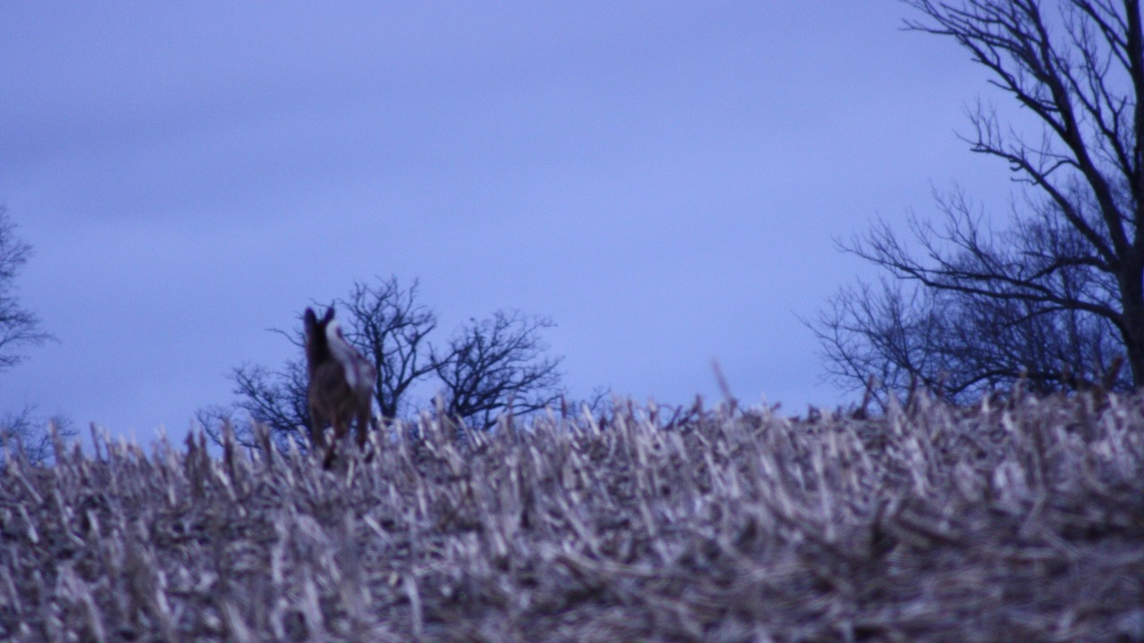 Photo of Outdoor in Logansport