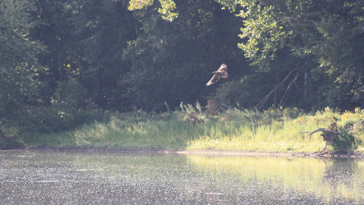 Photo of Others in Logansport