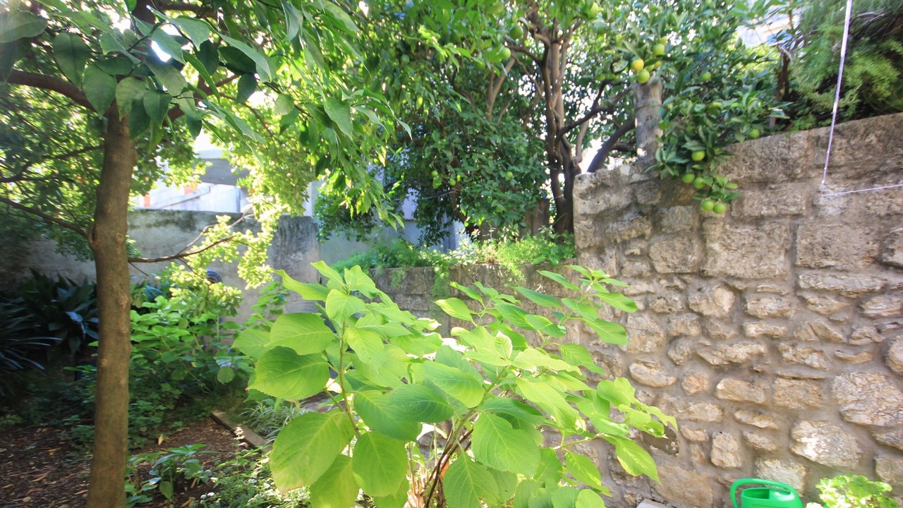 Photo of Others in Cavtat Old Town