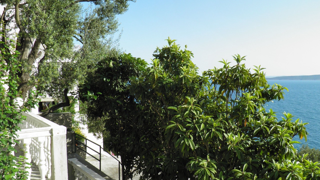 Photo of Outdoor in Brela
