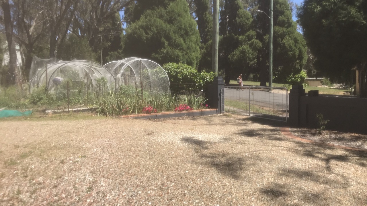 Photo of Outdoor in Katoomba