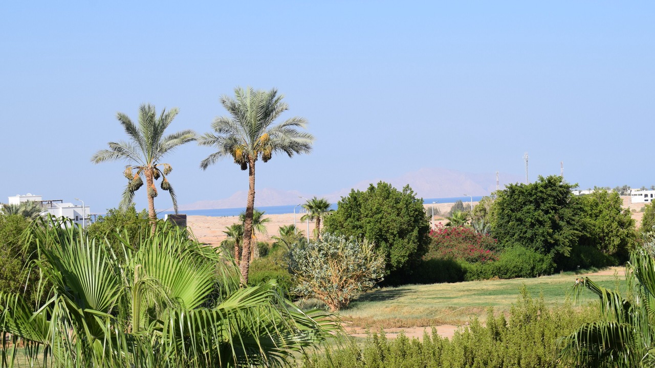 Photo of Outdoor in Sharm El Sheikh