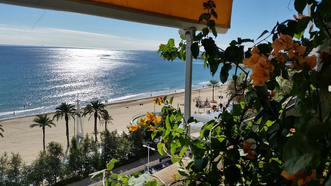 Photo of Others in Barri Vell - Santa Creu