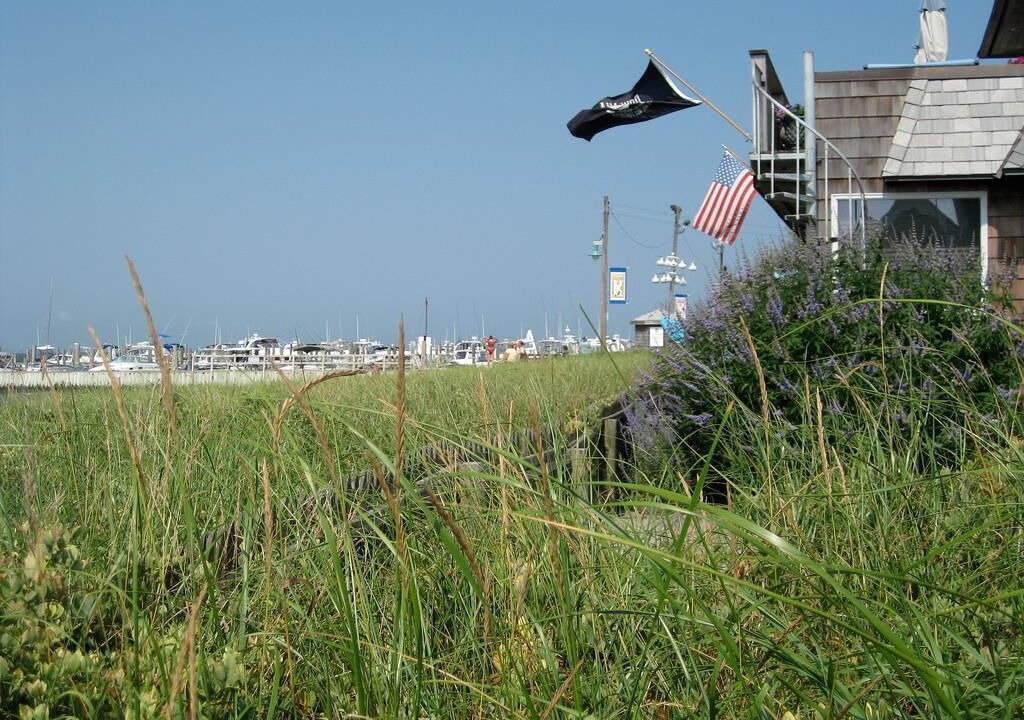 Photo of Others in Ocean Beach