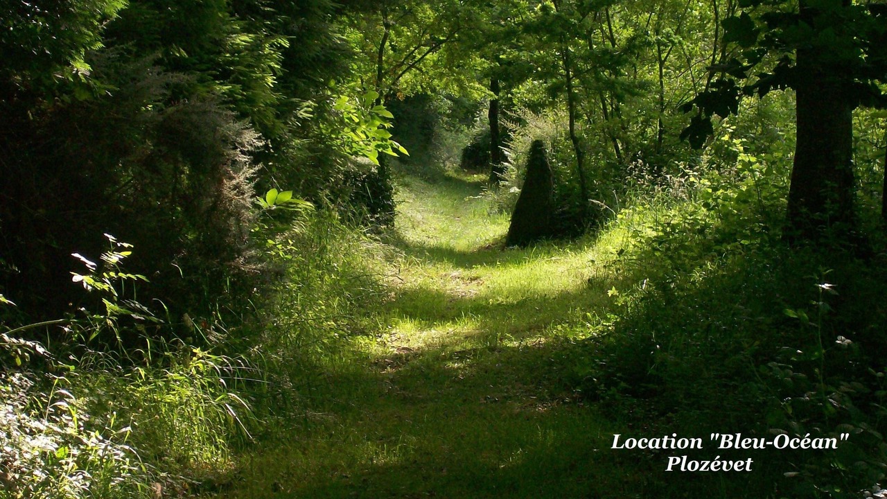 Photo of Outdoor in Plozevet