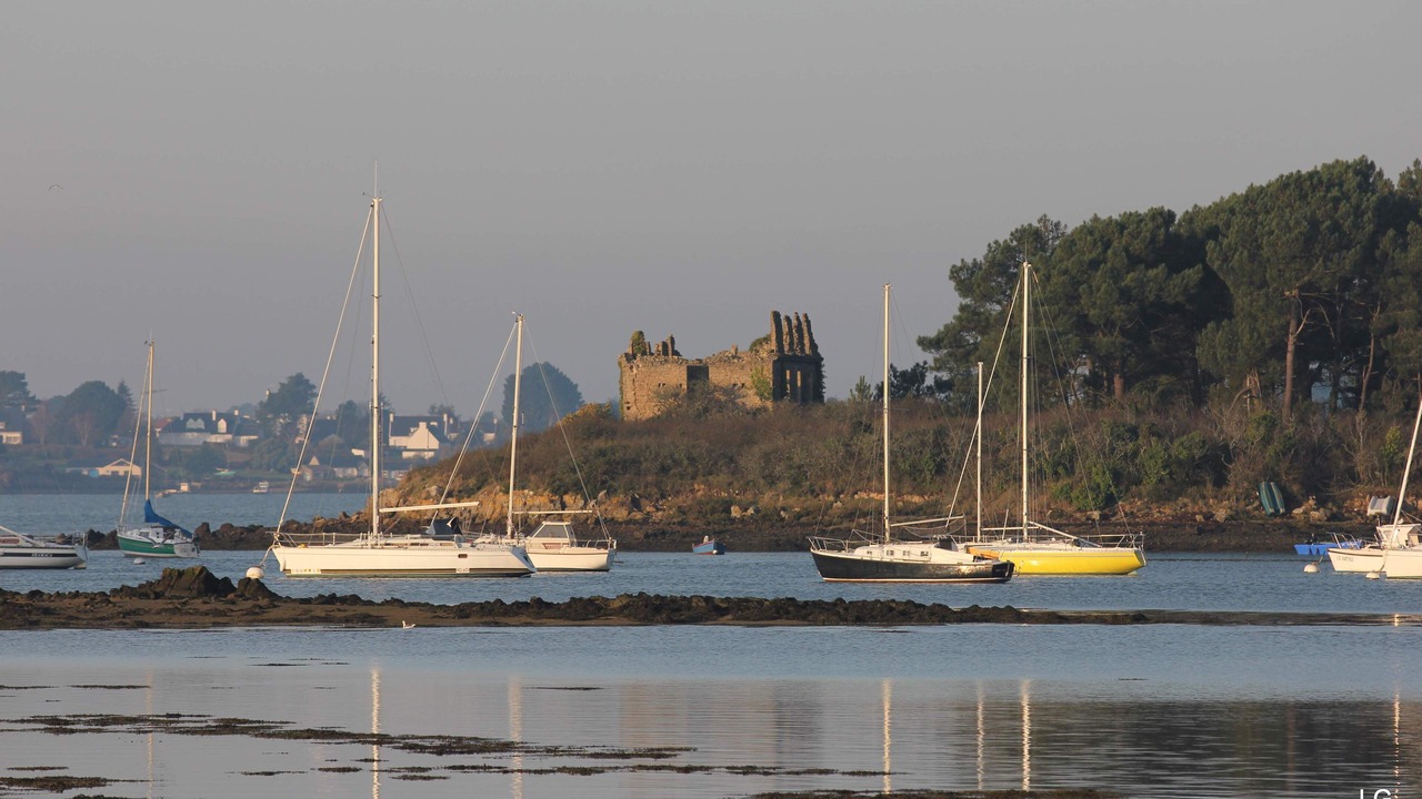 Photo of Others in Port de St Goustan