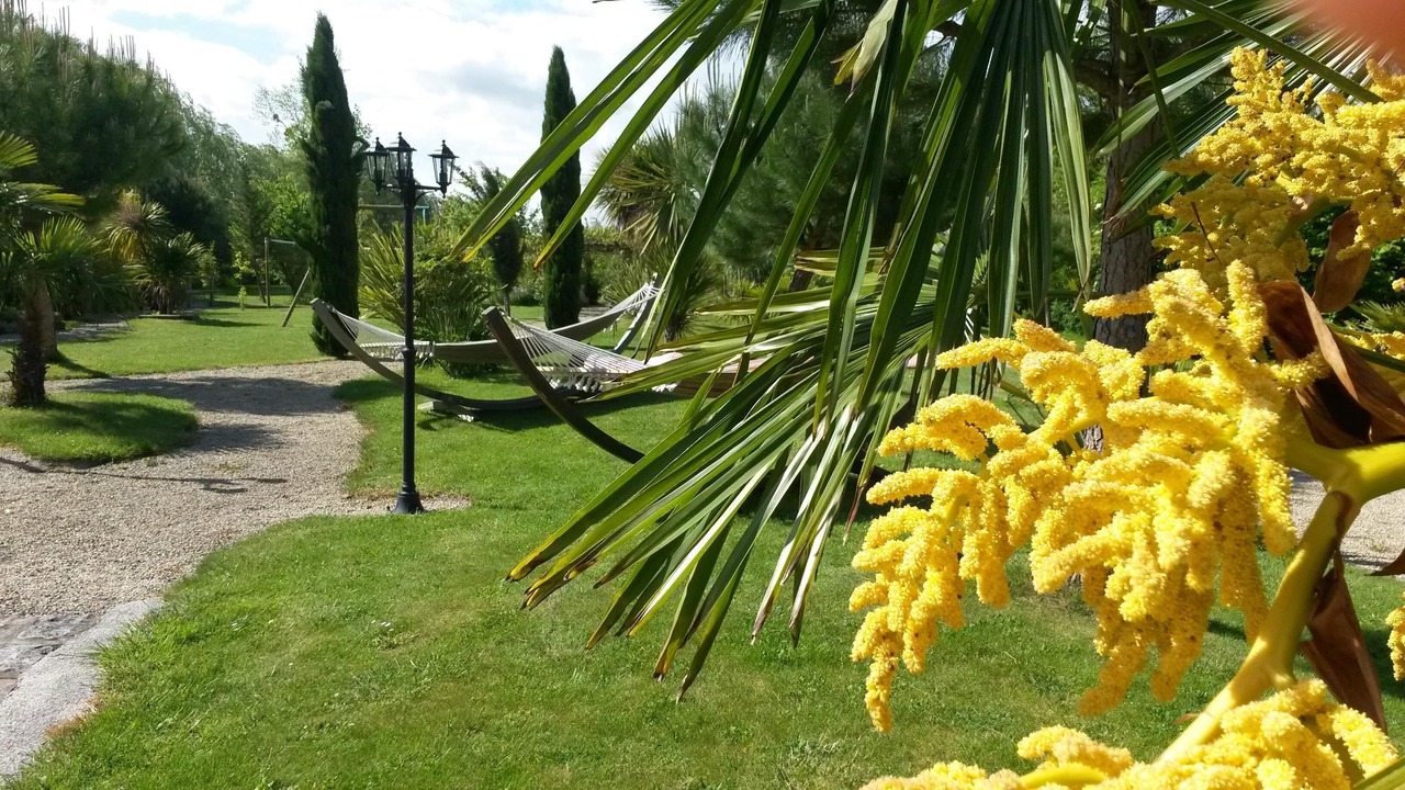 Photo of Outdoor in La Fresnais