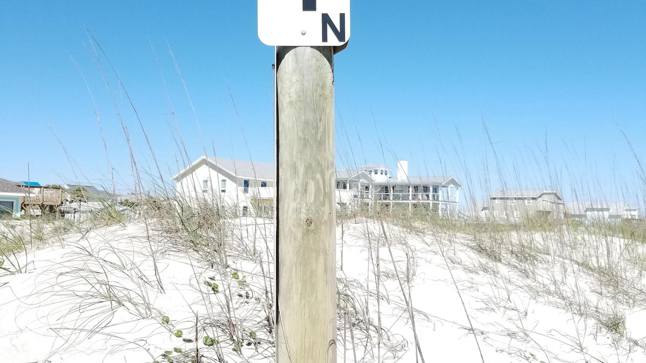 Photo of Others in Fernandina Beach