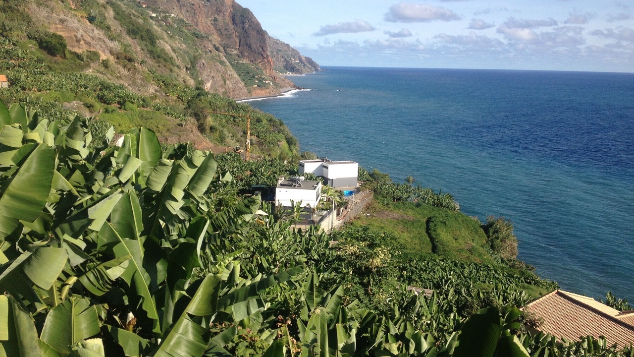 Photo of Others in Arco da Calheta
