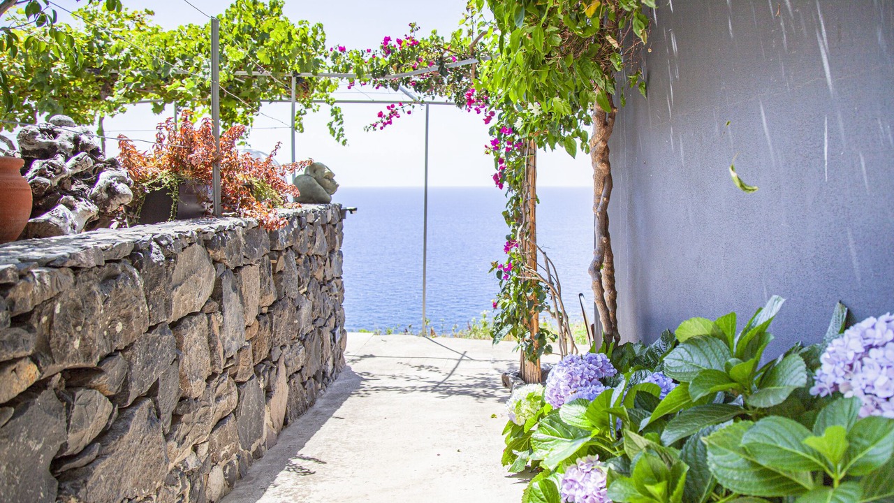 Photo of Outdoor in Arco da Calheta