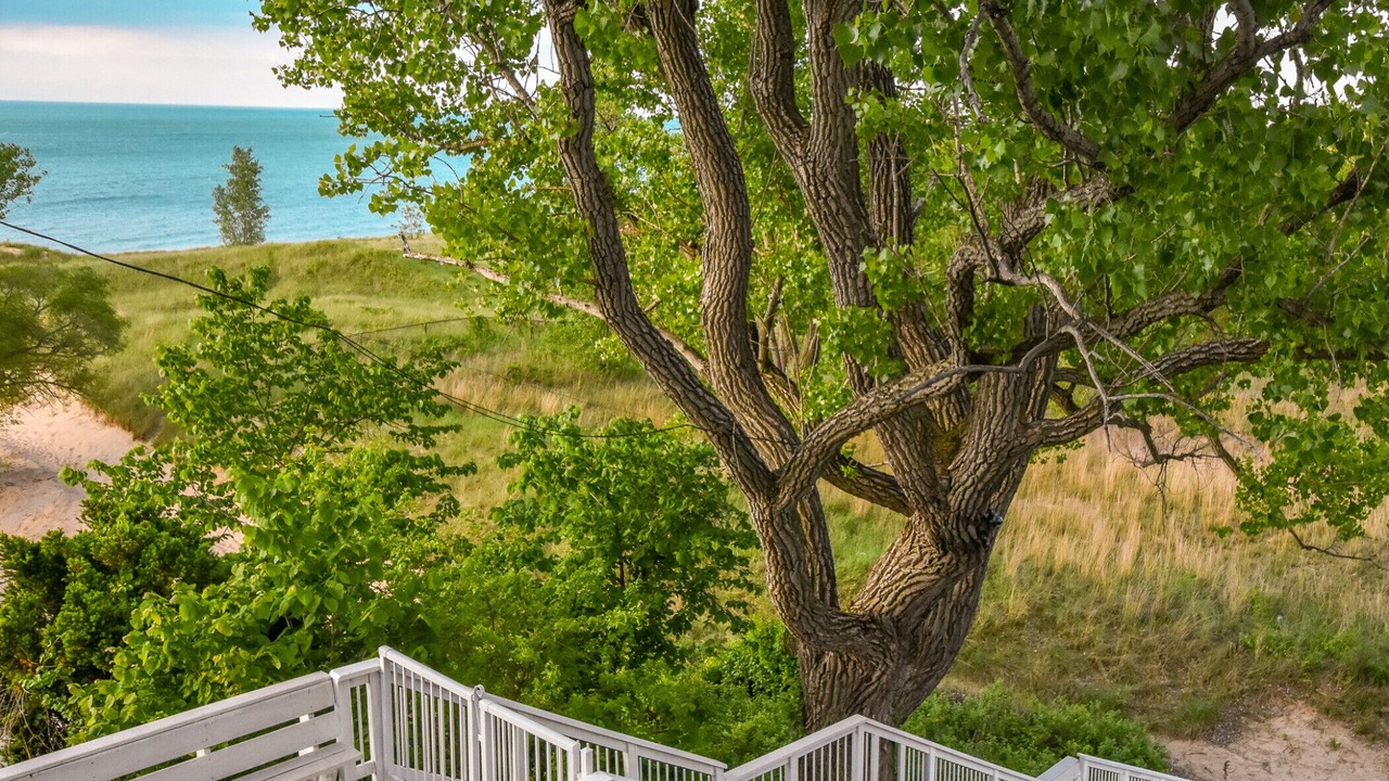 Photo of Outdoor in Miller Beach