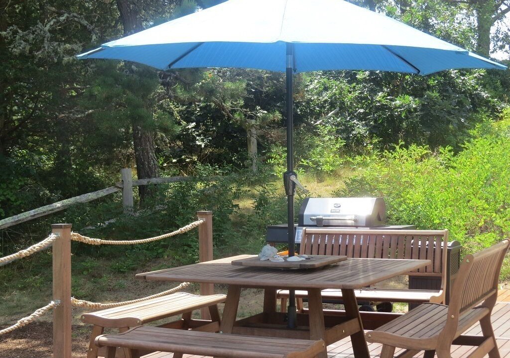 Photo of Outdoor in South Chatham