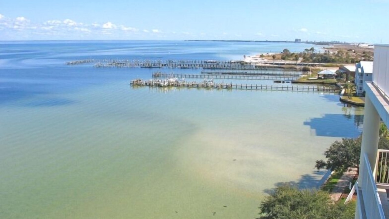 Photo of Others in Fort Walton Beach