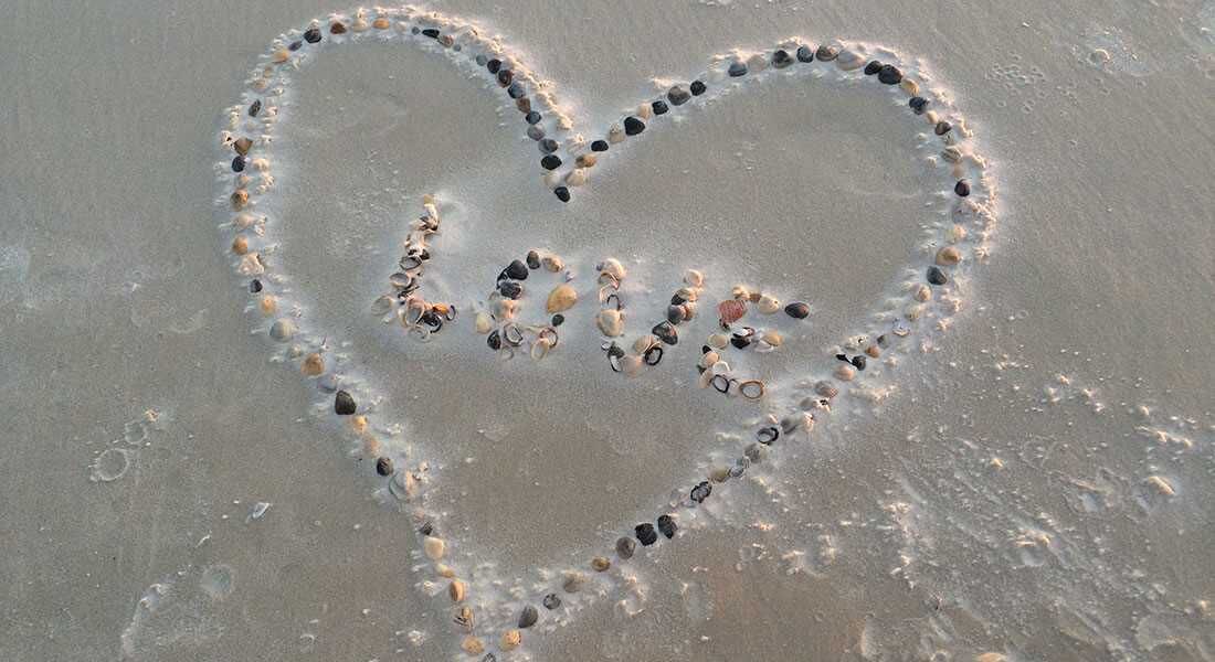 Photo of Others in Cape San Blas