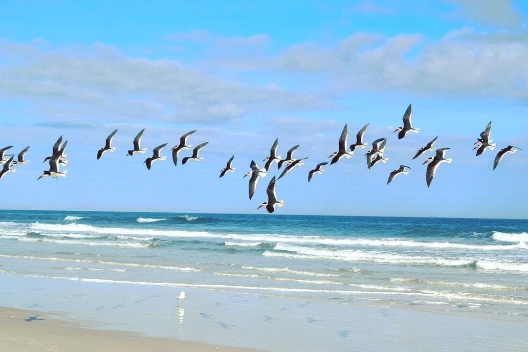 Photo of Others in Butler Beach