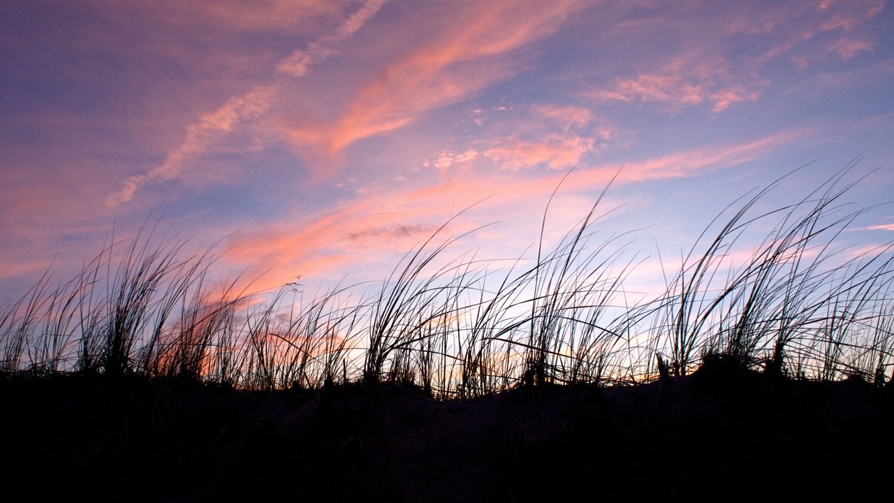 Photo of Others in Provincetown