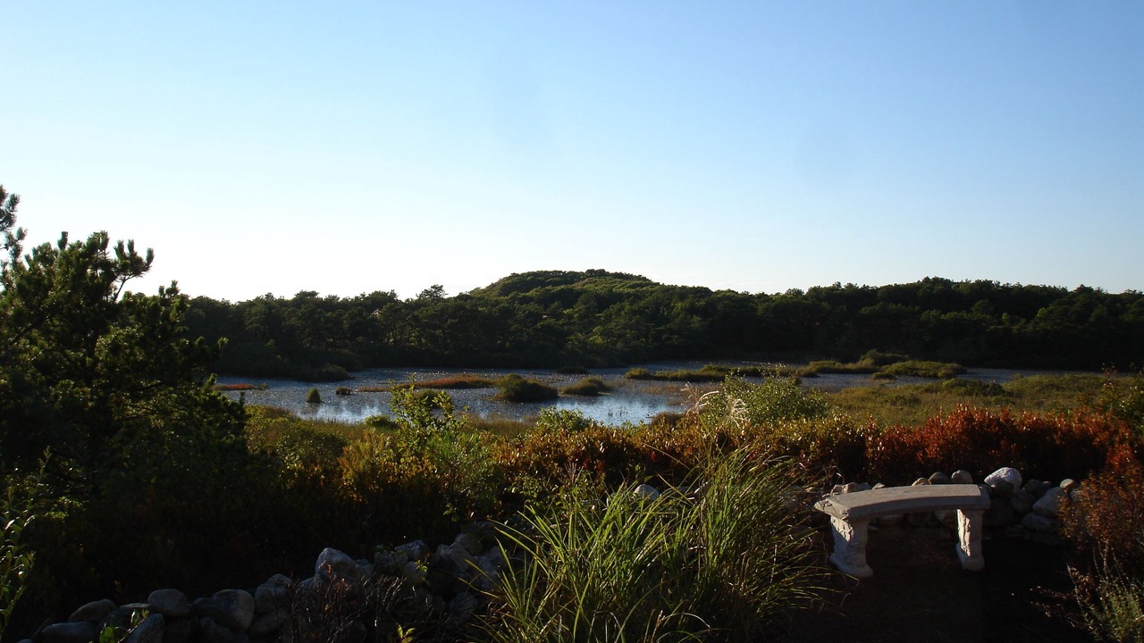 Photo of Others in Provincetown