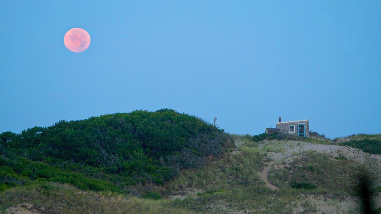 Photo of Others in Provincetown