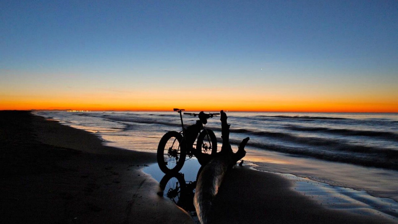 Photo of Others in Provincetown