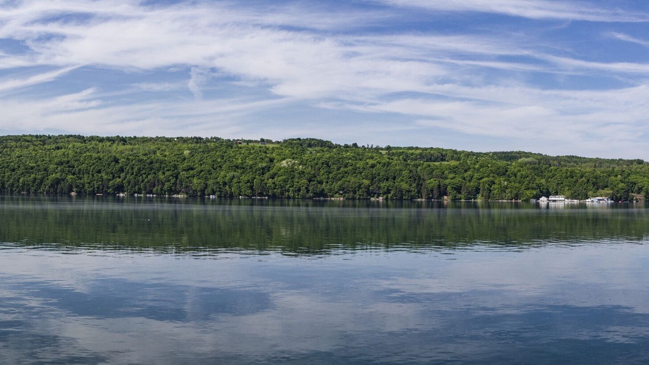 Photo of Others in Skaneateles