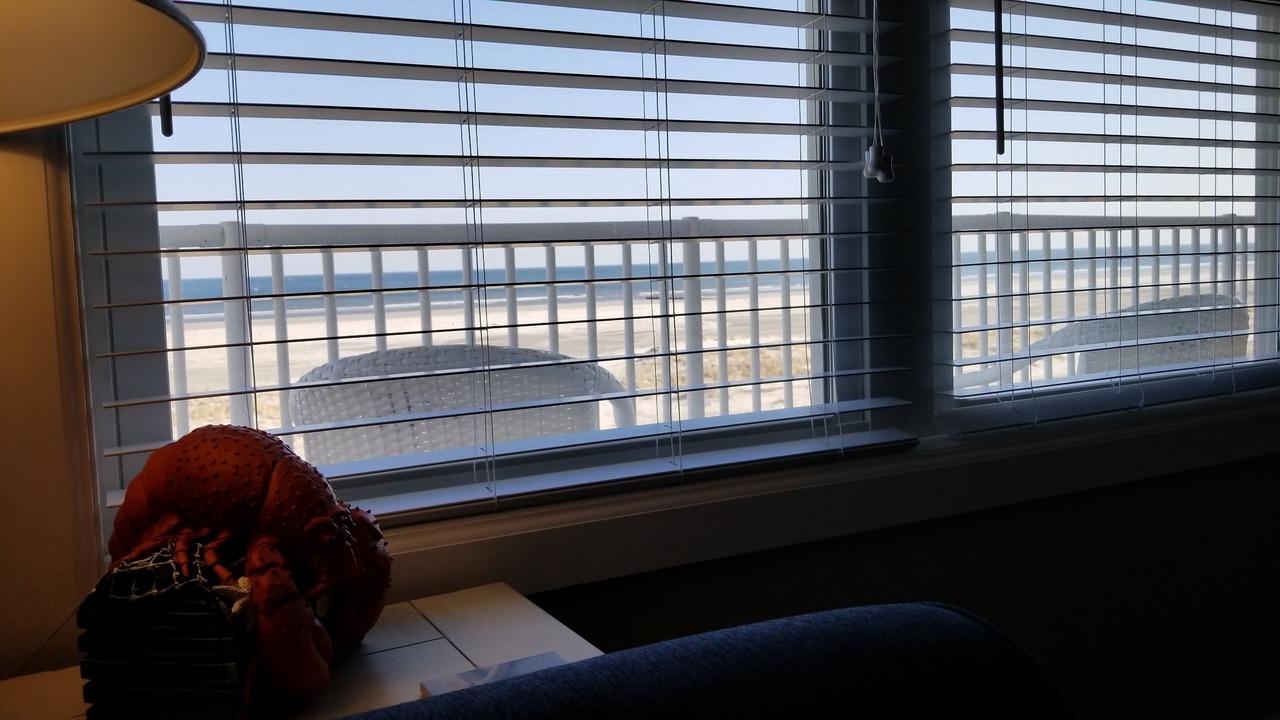 Photo of Others in Wildwood Crest