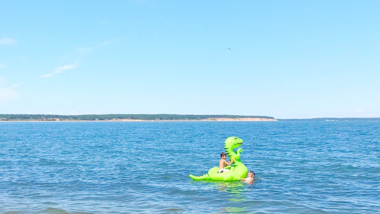 Photo of Others in Lion Head Beach