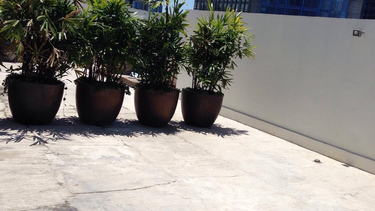 Photo of Outdoor in Salcedo Village