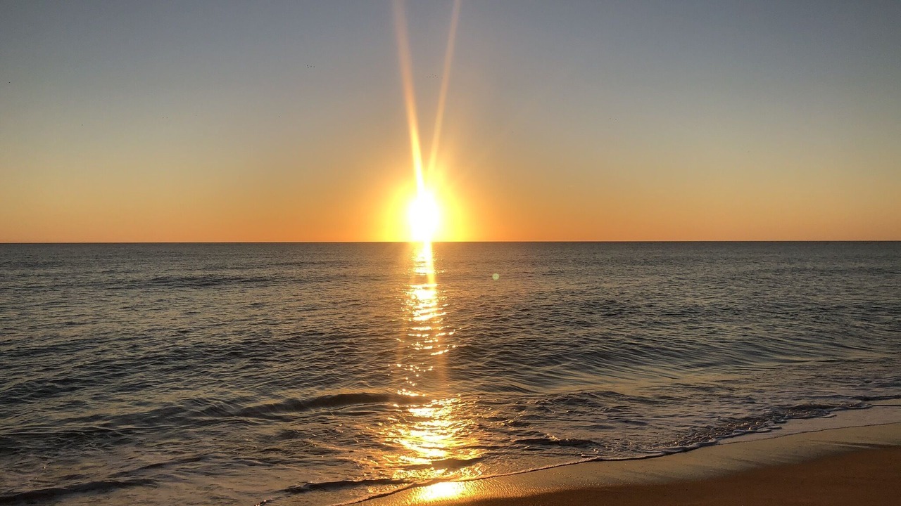 Photo of Others in Vale do Lobo