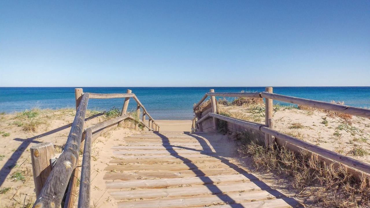 Photo of Others in Platja de Piles