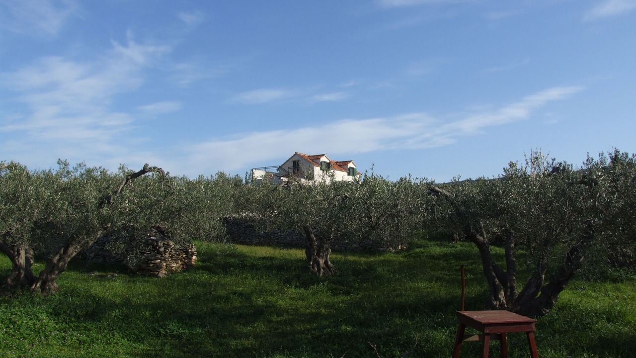Photo of Outdoor in Pucisca