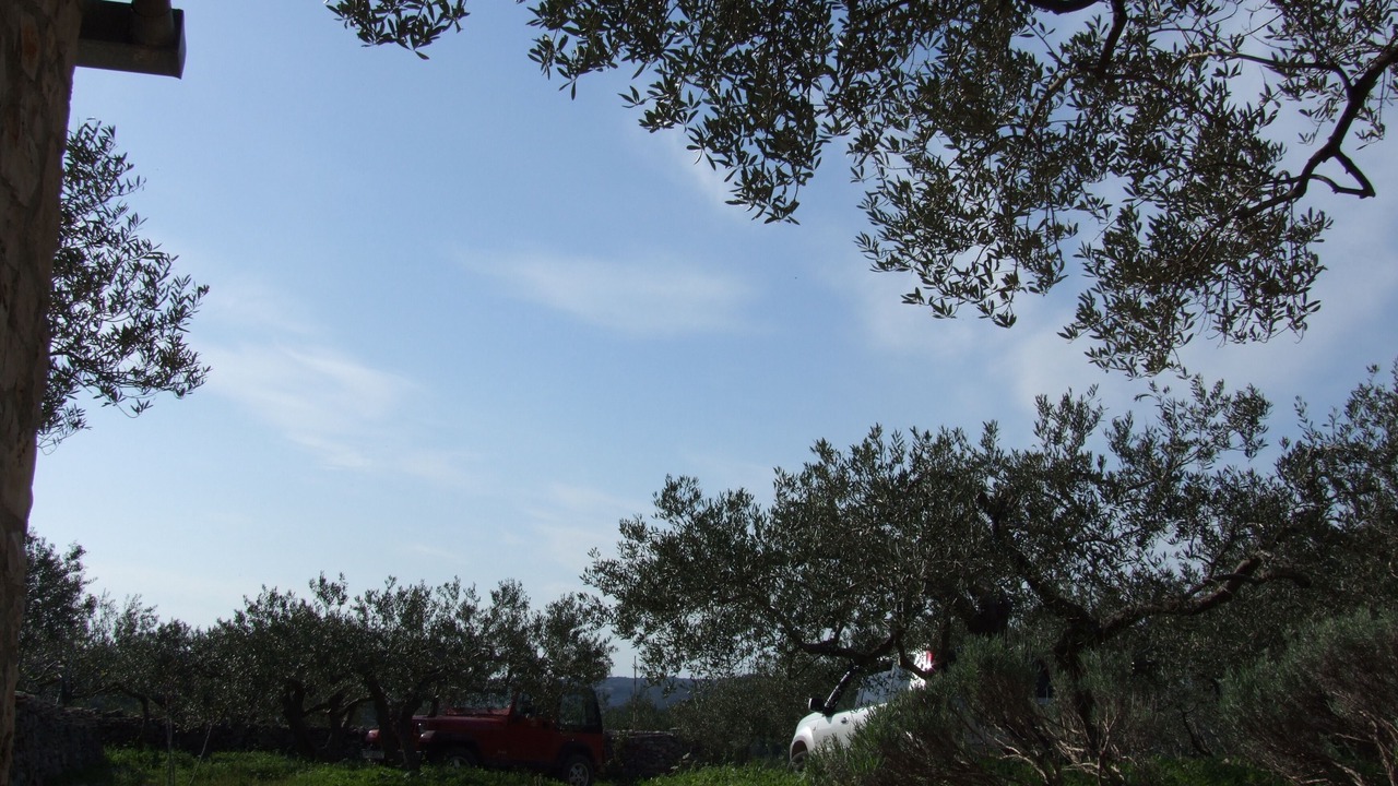 Photo of Outdoor in Pucisca