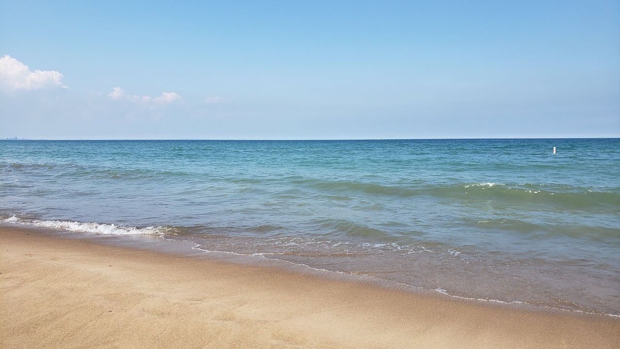 Photo of Others in Miller Beach