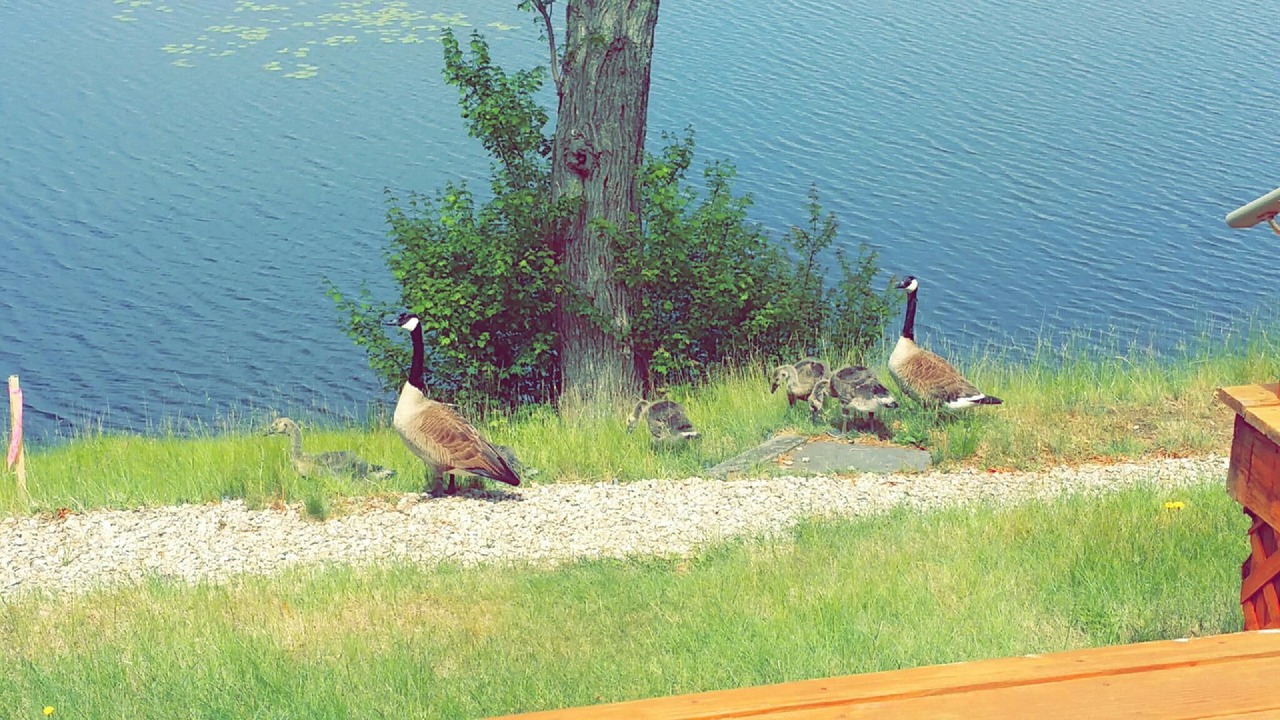 Photo of Outdoor in Hyannis