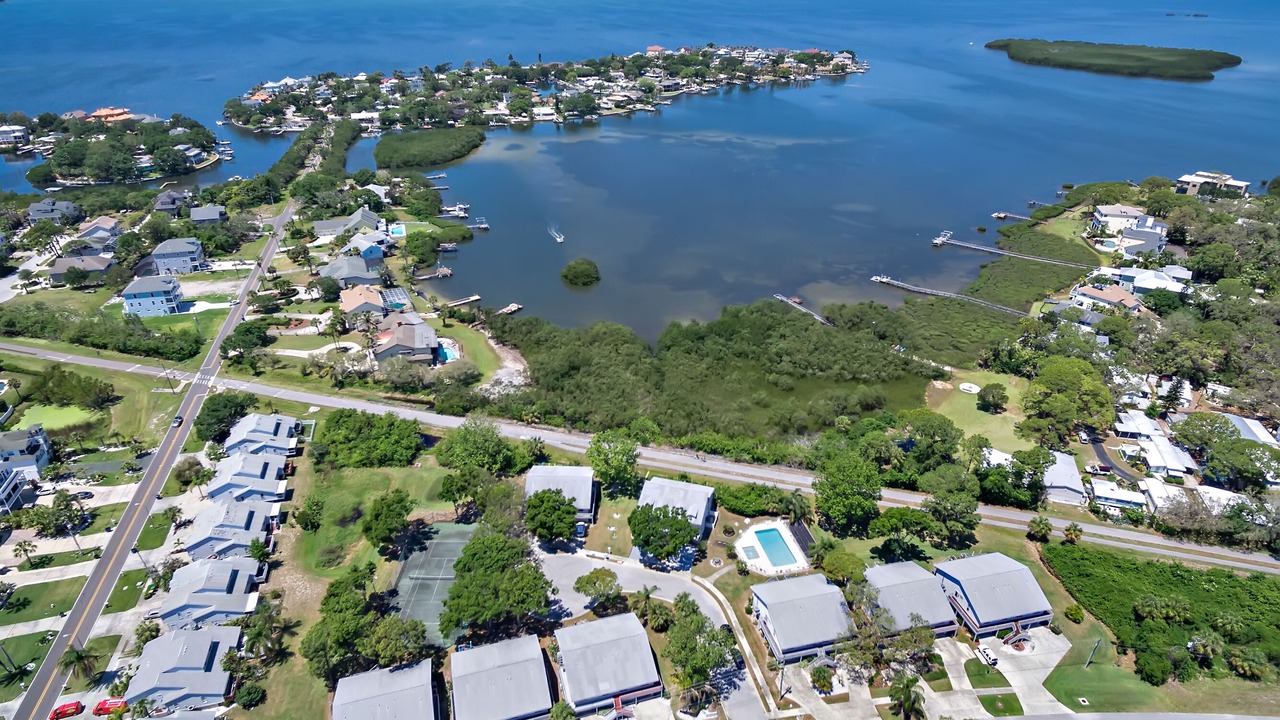 Photo of Others in Palm Harbor