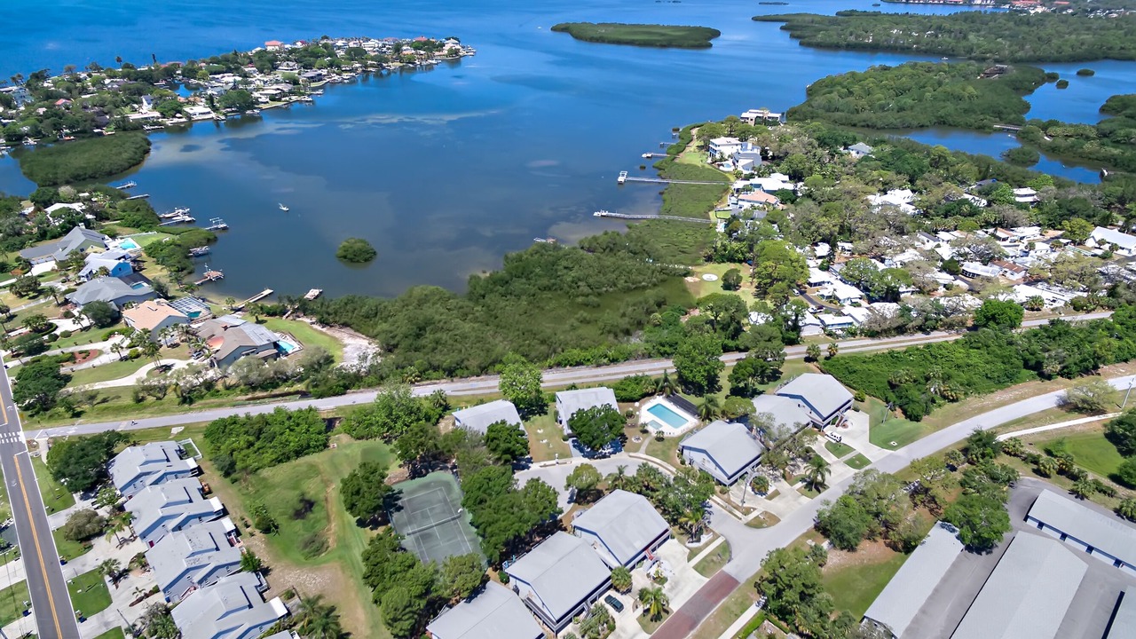 Photo of Others in Palm Harbor