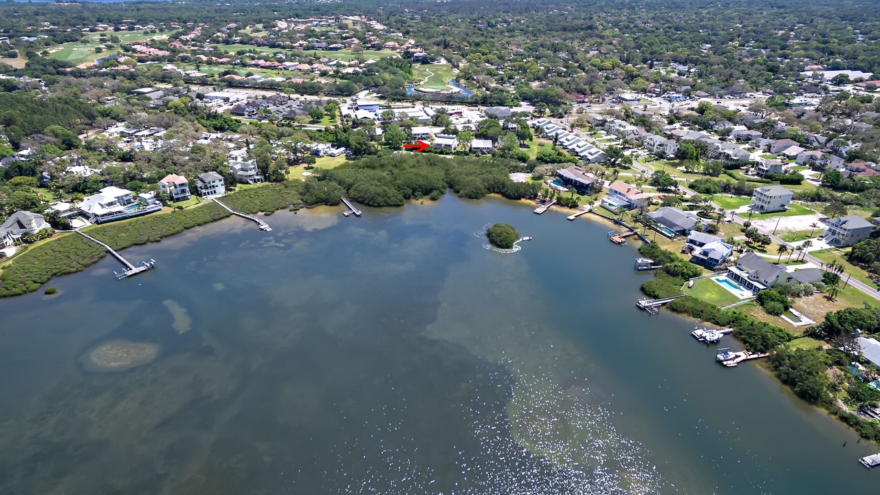 Photo of Others in Palm Harbor