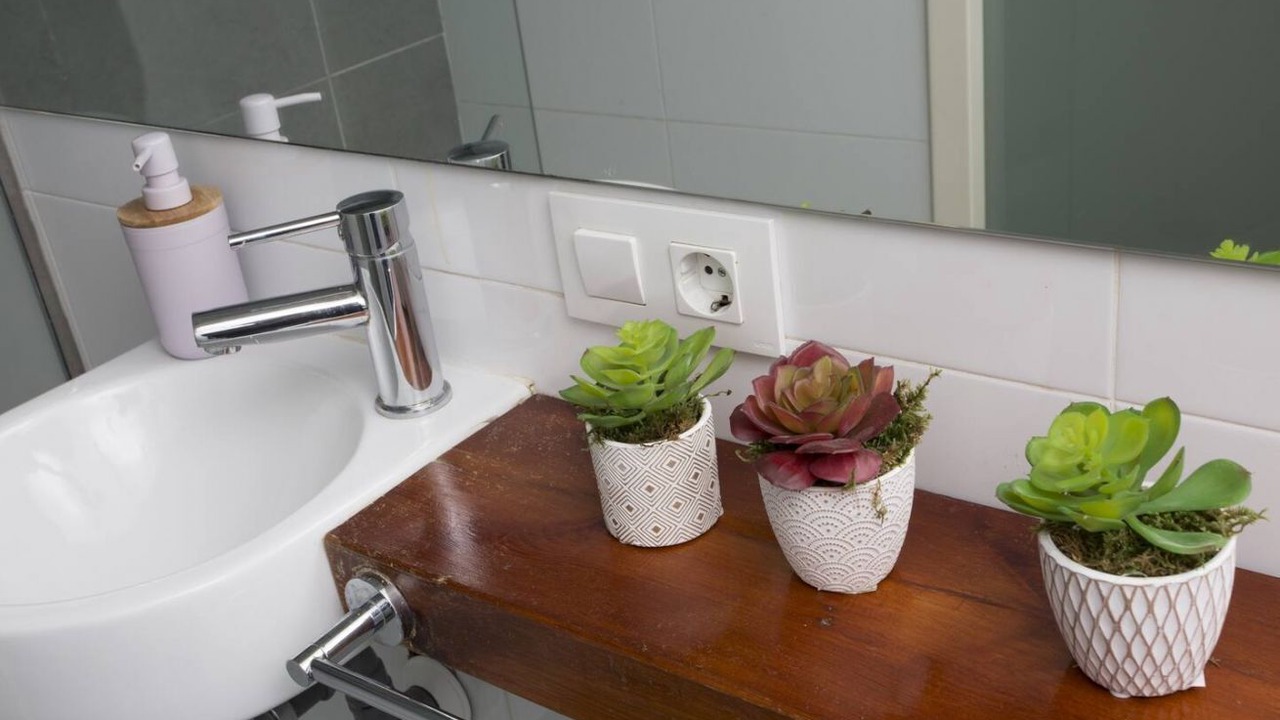 Photo of Bathroom in El Botanic