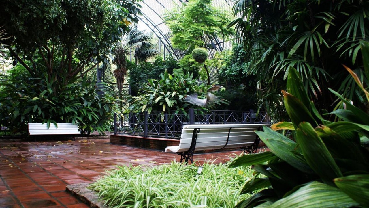 Photo of Outdoor in El Botanic