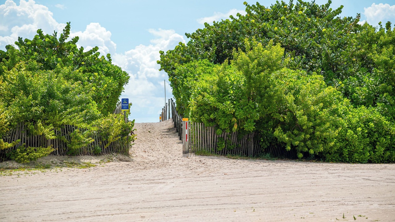 Photo of Others in South Beach