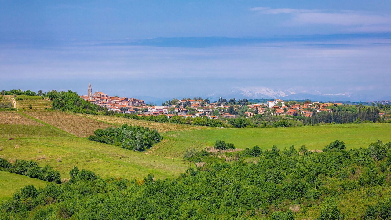 Photo of Others in Buje
