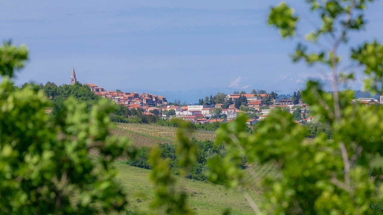 Photo of Others in Buje