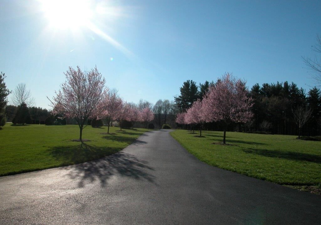 Photo of Outdoor in Ballenger Creek