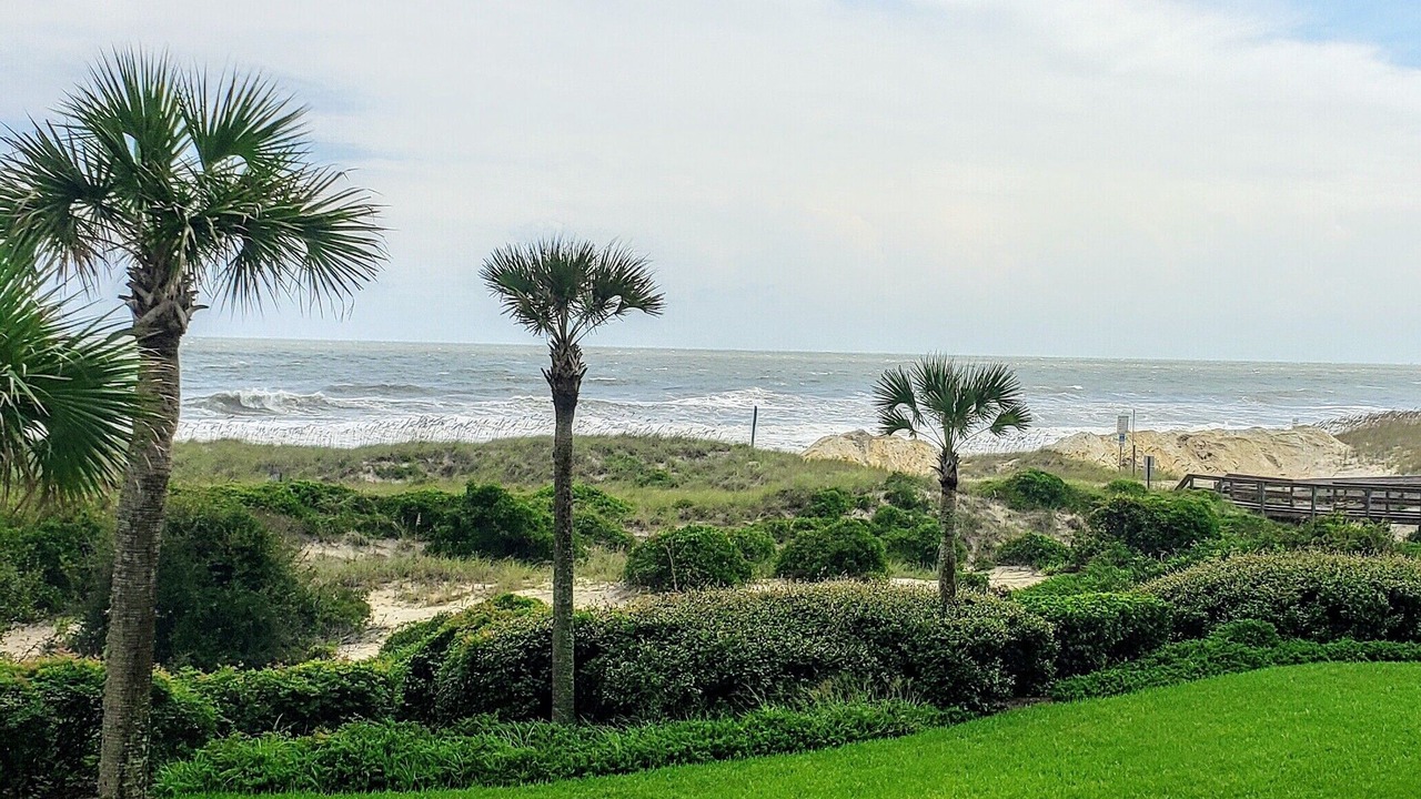 Photo of Outdoor in Amelia City