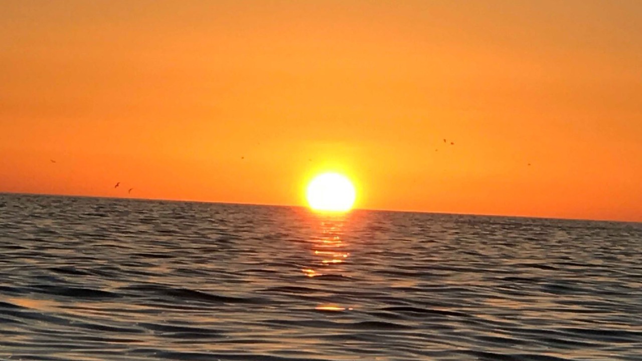 Photo of Others in Madeira Beach