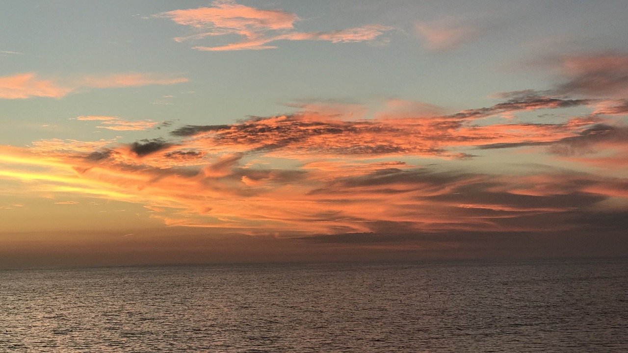 Photo of Others in Madeira Beach