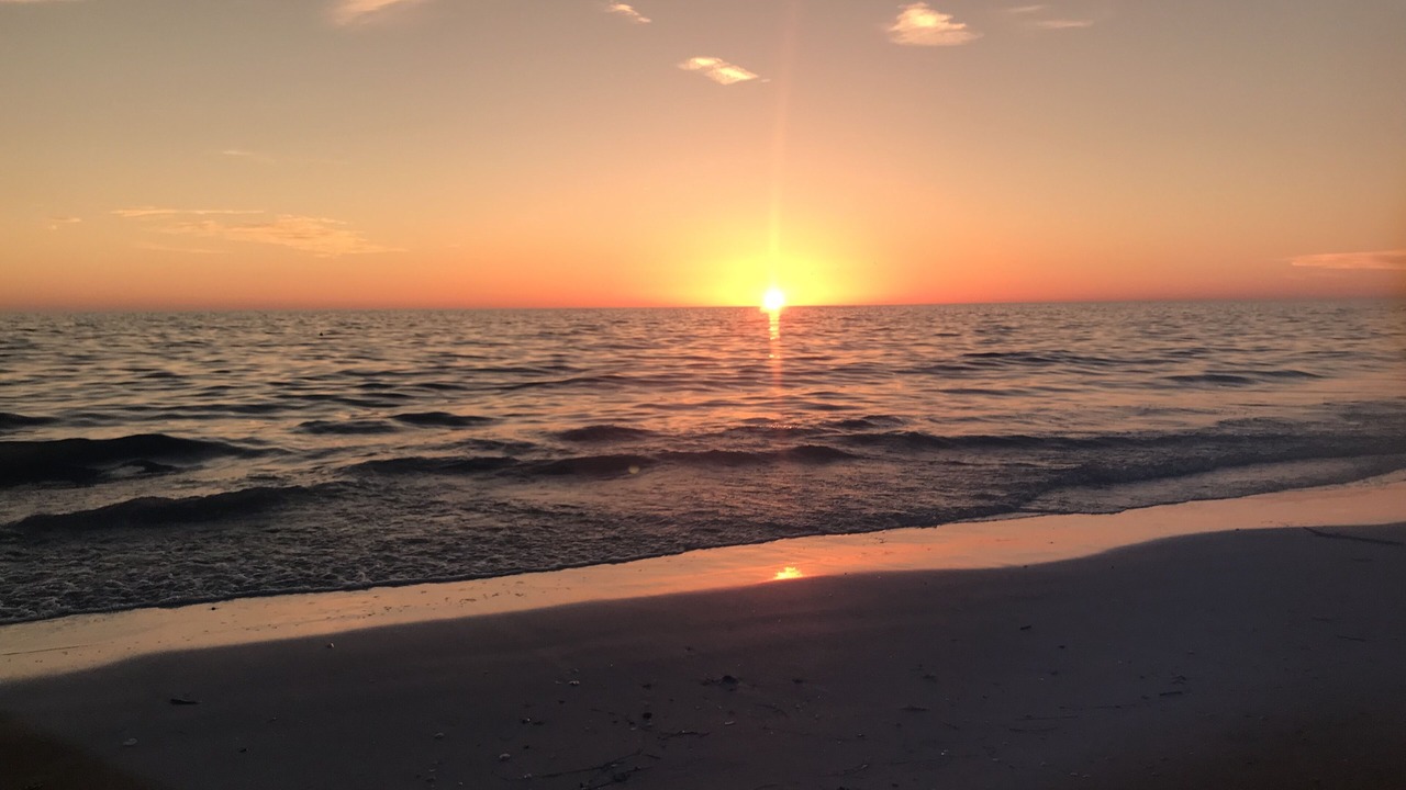 Photo of Others in Madeira Beach