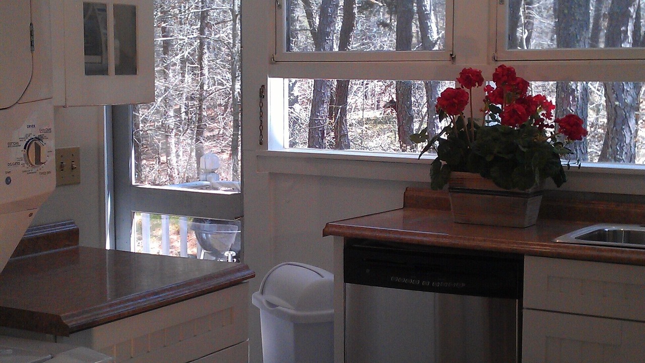 Photo of Others in Wellfleet