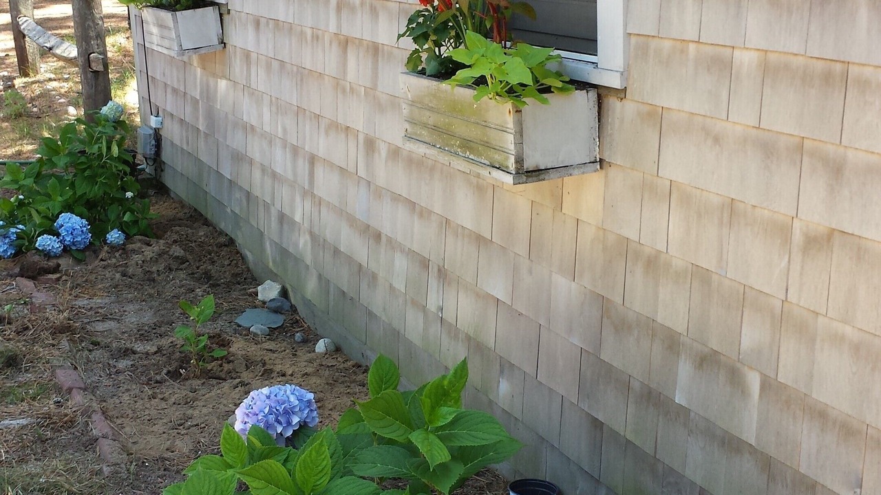 Photo of Others in Wellfleet