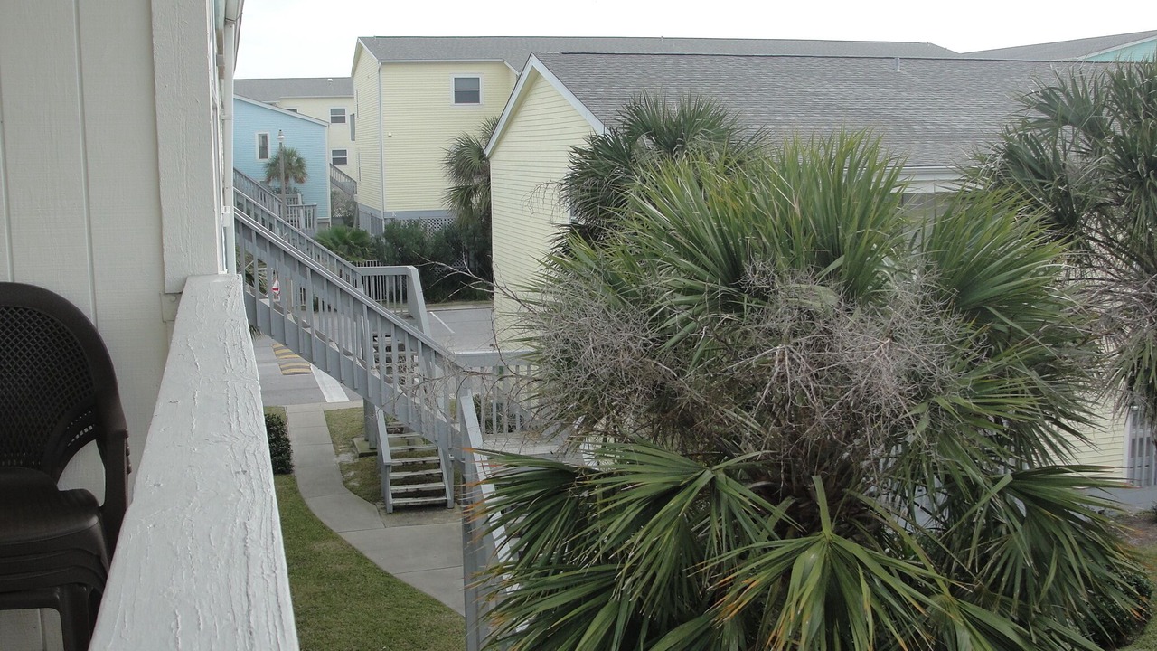 Photo of Others in Pensacola Beach