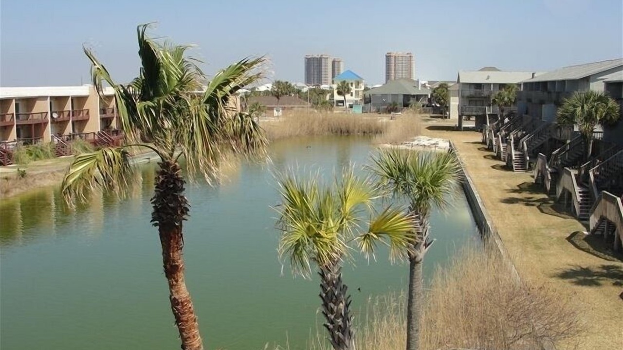 Photo of Others in Pensacola Beach